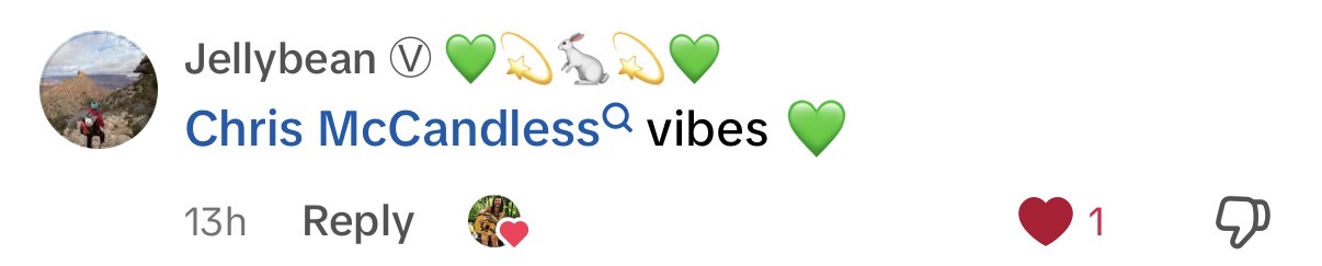 Comment: Chris McCandless vibes, with green heart emojis