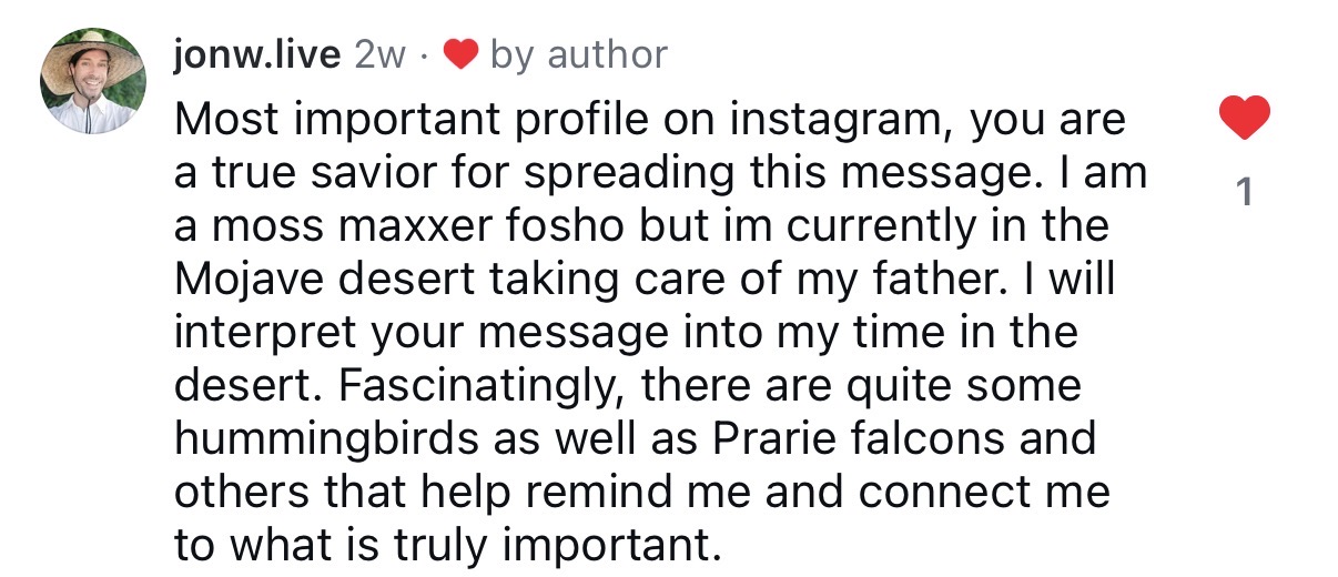 Comment: most important profile on instagram, you are a true savior for spreading this message