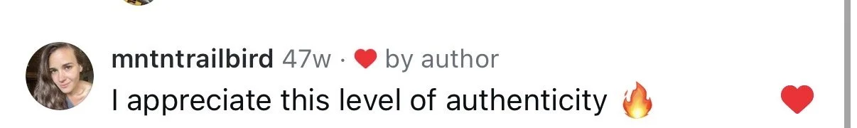 Screenshot of a client message
