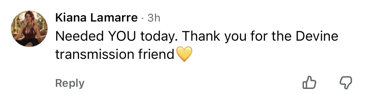 Comment: Needed YOU today. Thank you for the divine transmission friend